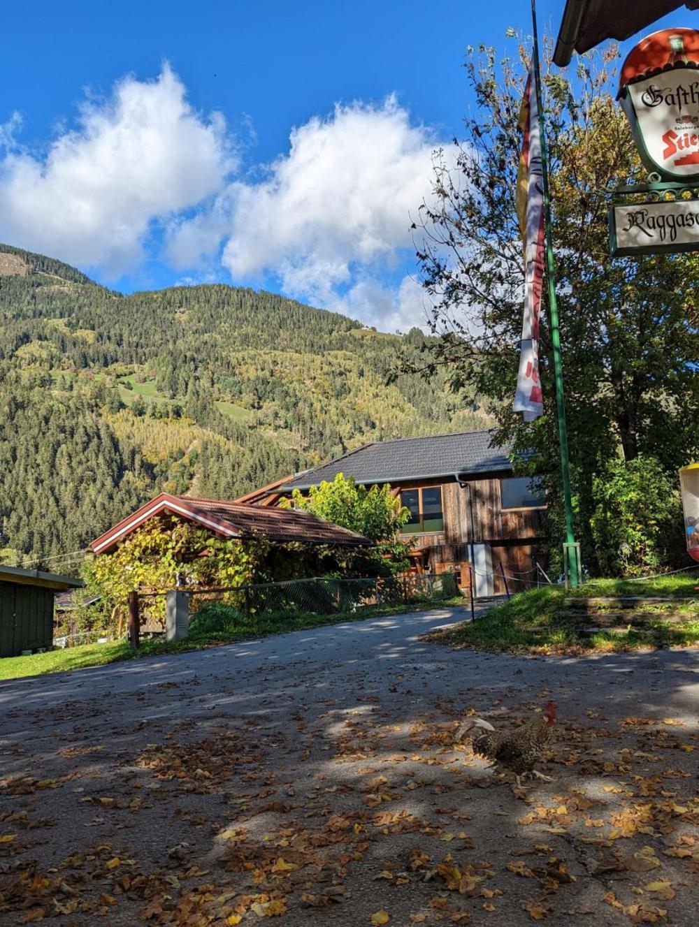 Chalet Schmelz Huette Mit Sauna Und Garten Flattach Luaran gambar